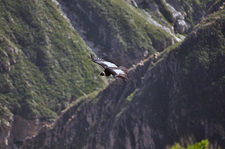 Peru-Arequipa-Colca Valley to the origin of the Amazon River